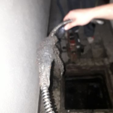Destapacion de tapa cloacal